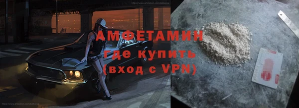 прущие грибы Беломорск