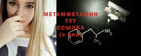 прущие грибы Беломорск