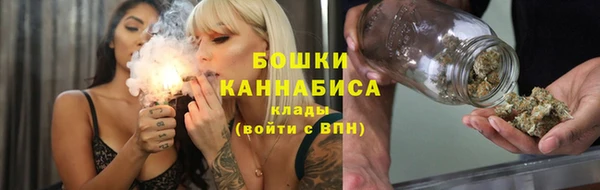 прущие грибы Беломорск