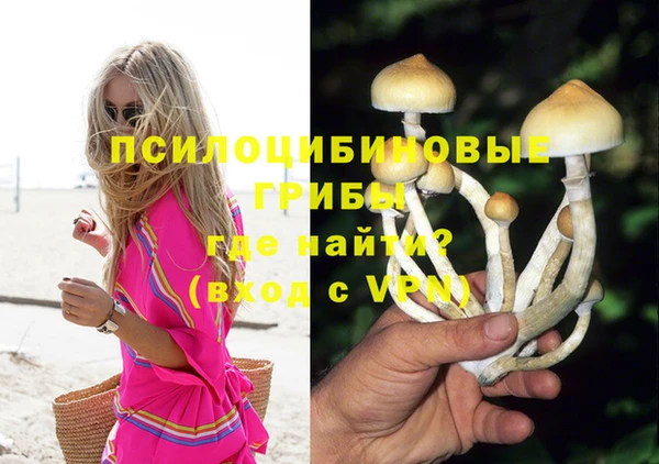 прущие грибы Беломорск