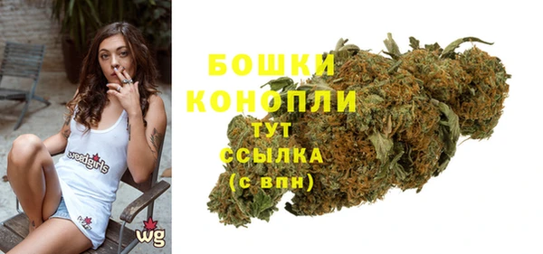прущие грибы Беломорск