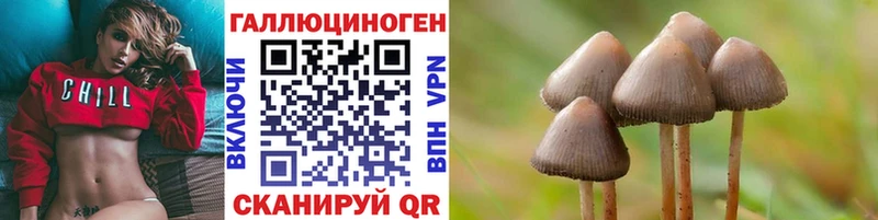 Псилоцибиновые грибы мицелий  площадка клад  Торопец  наркота 